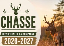 Calendrier chasse