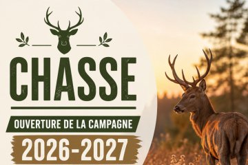 Calendrier chasse